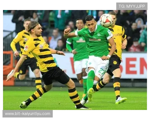 开云体育入口链接安全可靠，官方直达入口地址让你畅享体育盛宴