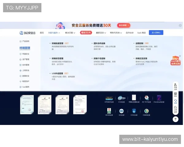打造高效开云全站网站，提升企业在线服务能力与竞争力